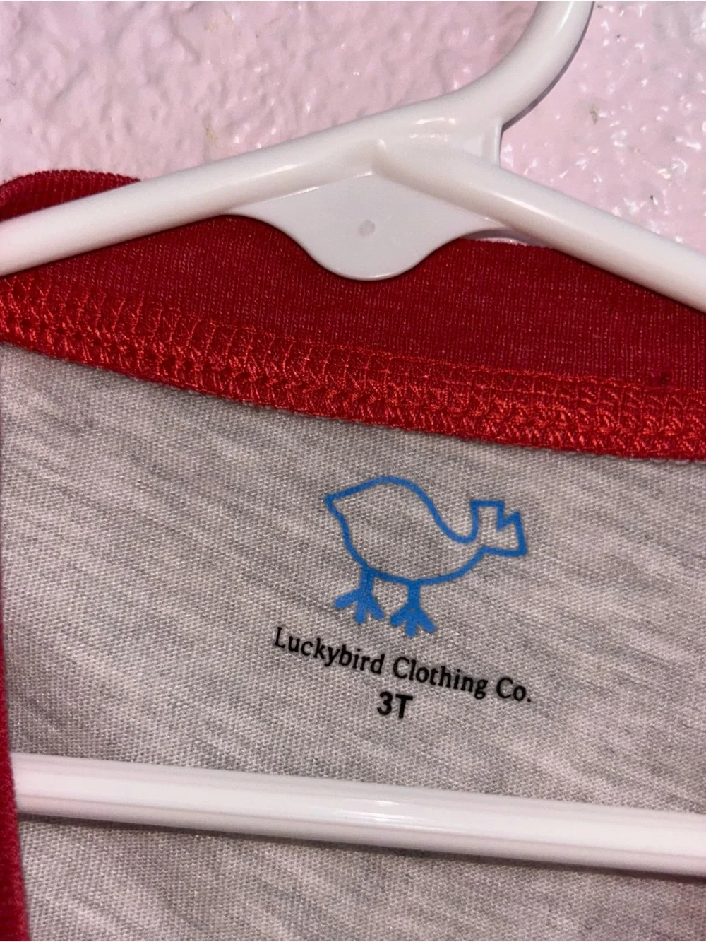 Kids Red & Gray Raglan Tee with Barn Graphic